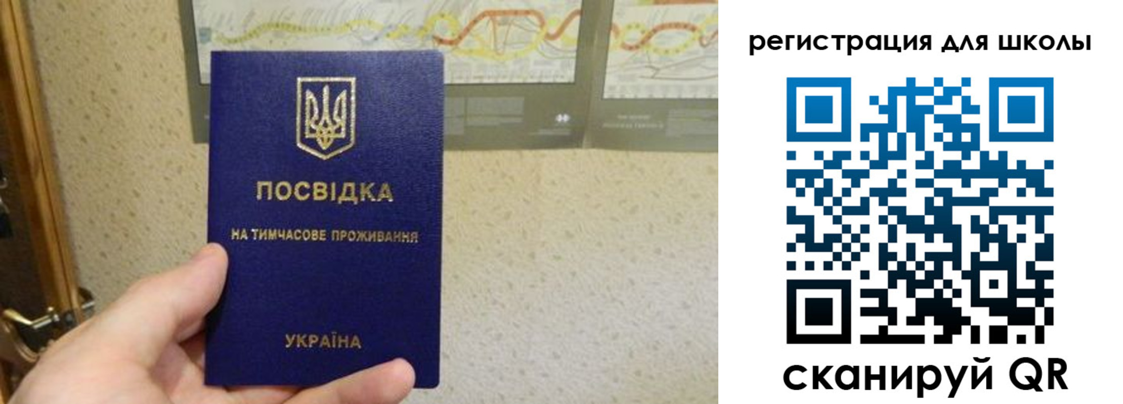 временная прописка в Зее